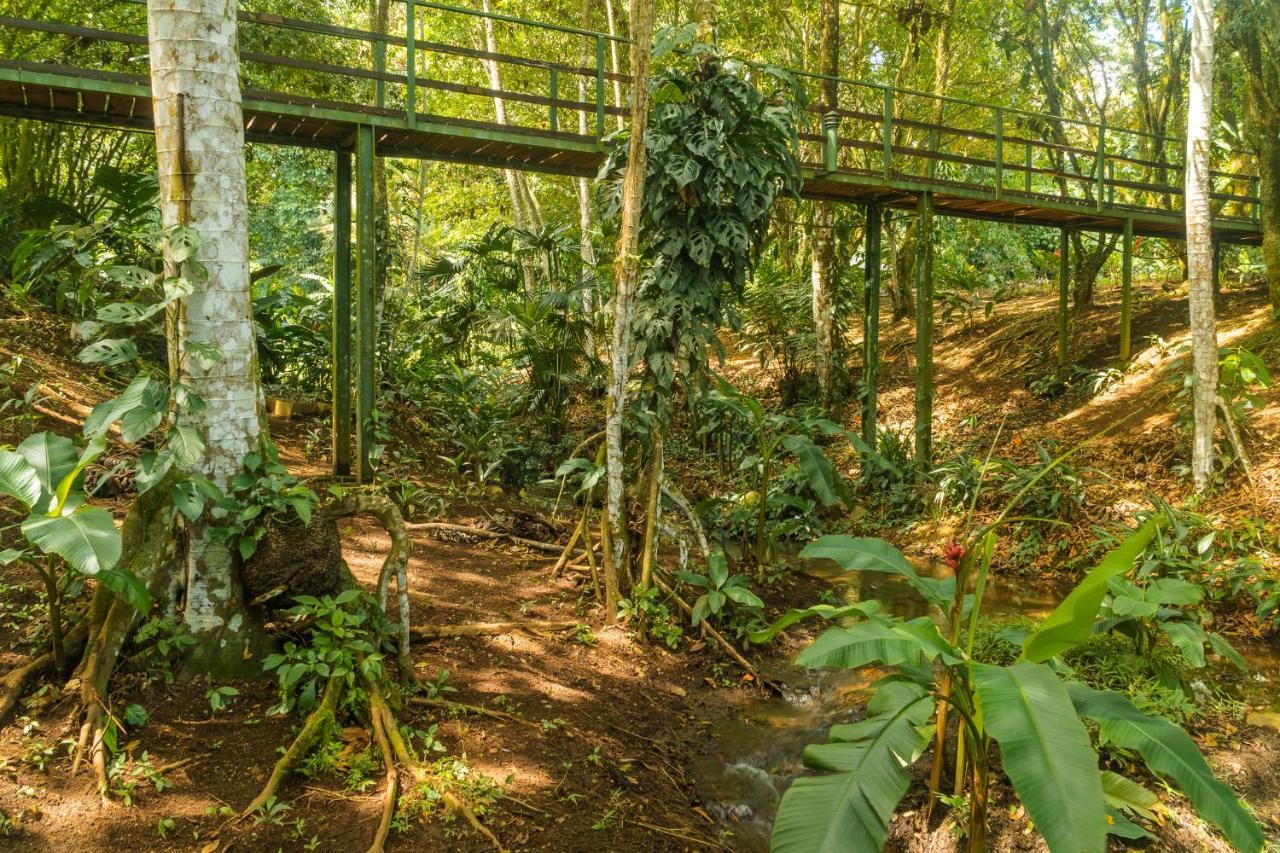 La Fortuna Natural Green Exterior photo