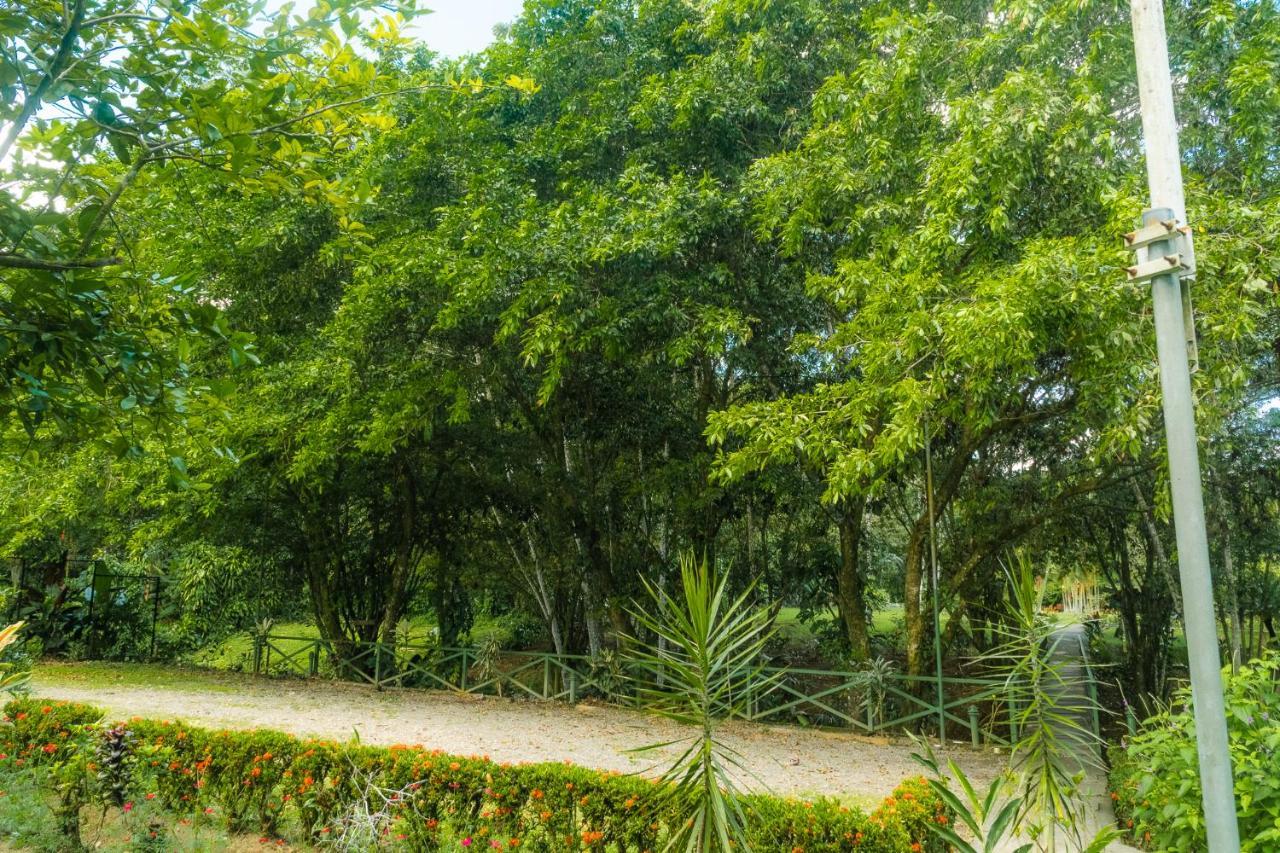 La Fortuna Natural Green Exterior photo